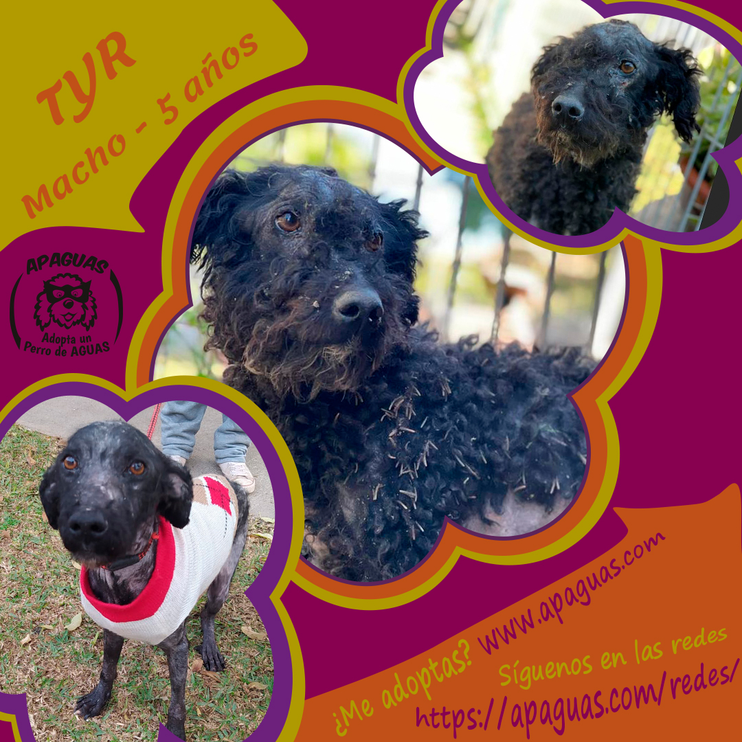 jog Cartel TYR