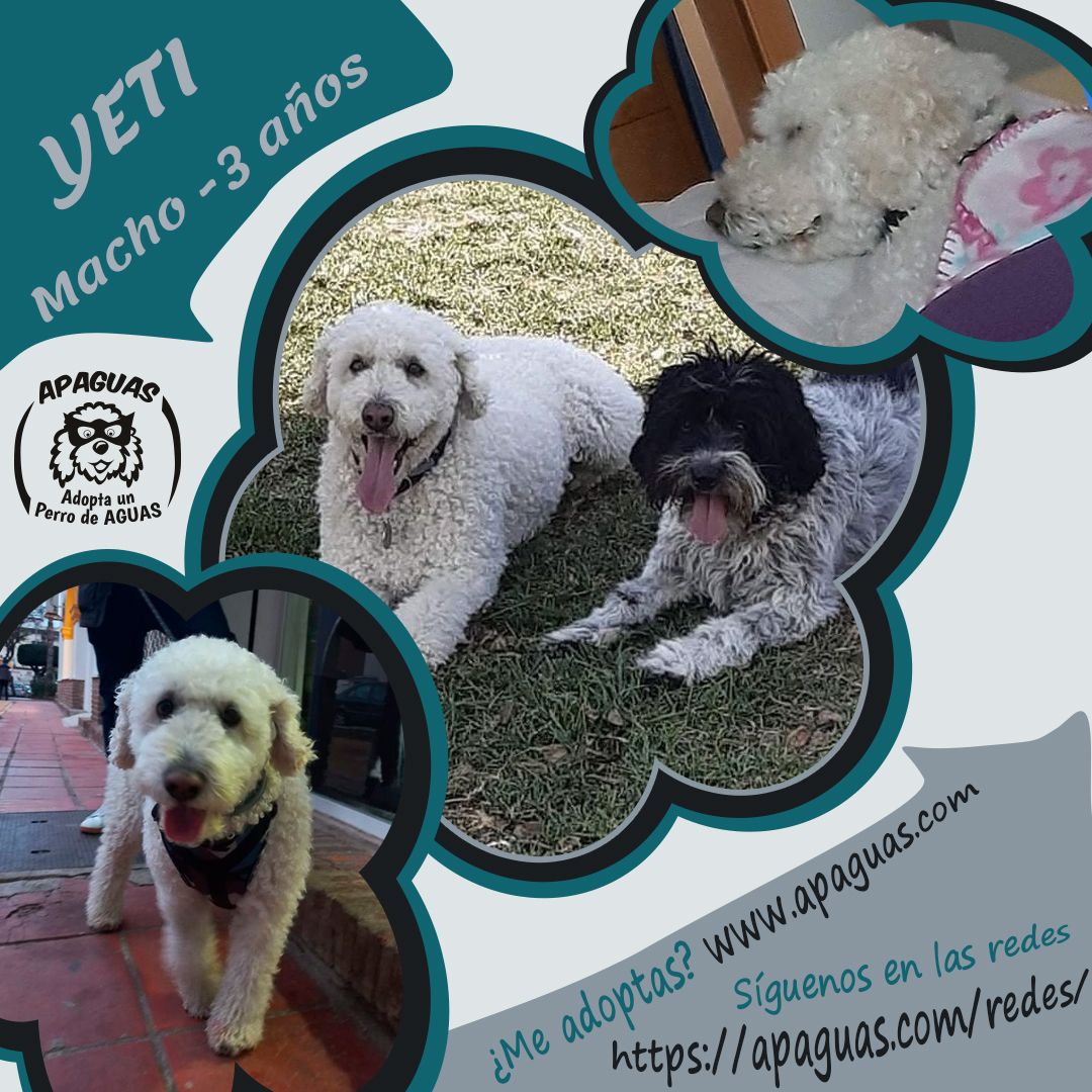 jpgCartel YETI copia