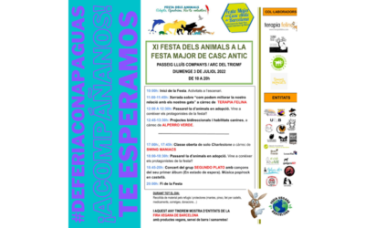 ¡¡ VOLVEMOS #deferiaconapaguas !! – (BARCELONA)