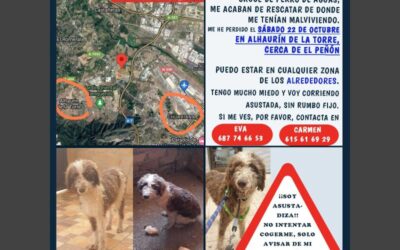 🔸(Actualización) “ENCONTRADA”🔸Se ha Escapado en MÁLAGA, Zona ALHAURÍN DE LA TORRE