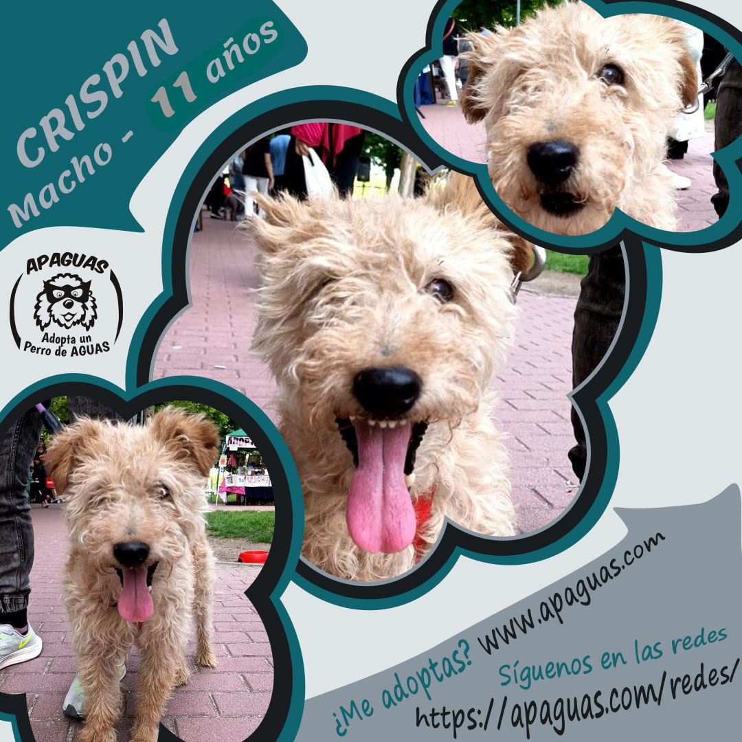 (11 años) Cartel CRISPIN