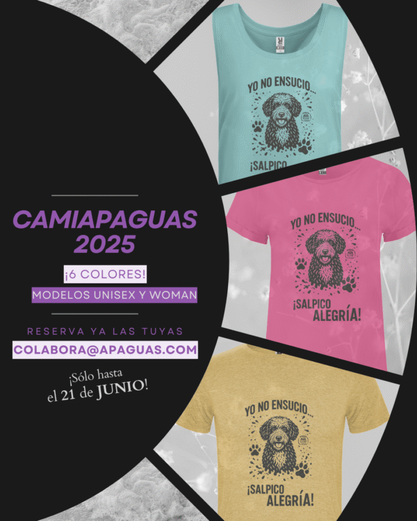 Camiapaguas 2025