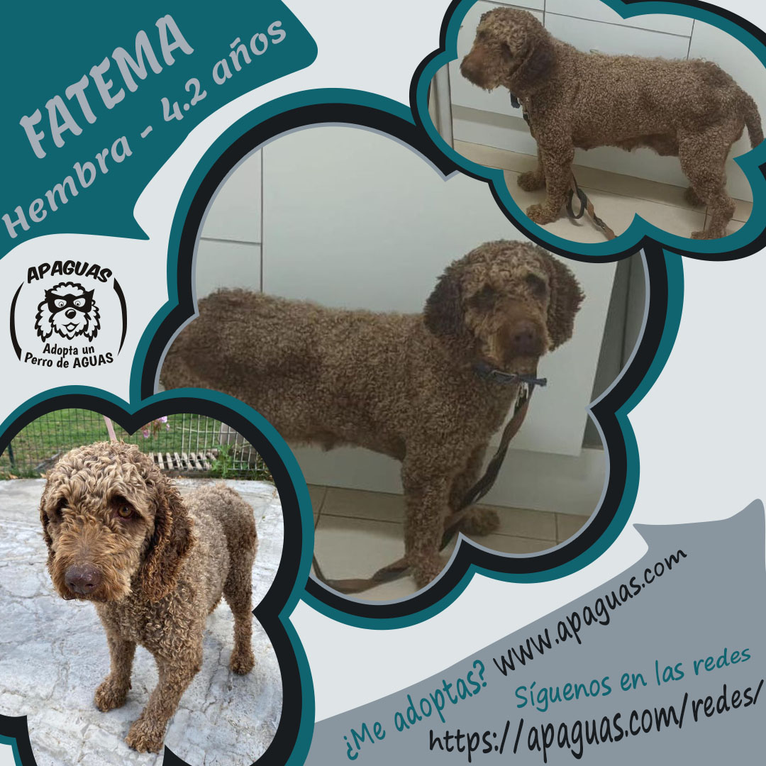 j cartel FATEMA